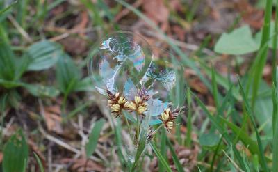 ���J(r��n)�飬Ŀǰ���ӂ������W(xu��)��(x��)��(x��)�T��Ҫ���F(xi��n)��...