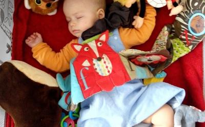 19.在達到理智的年齡之前,孩子不能接受觀...